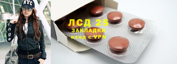 тгк Сатка