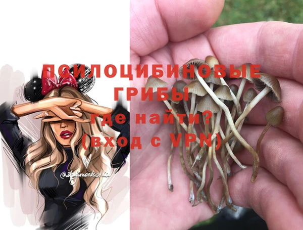 сатива Абаза